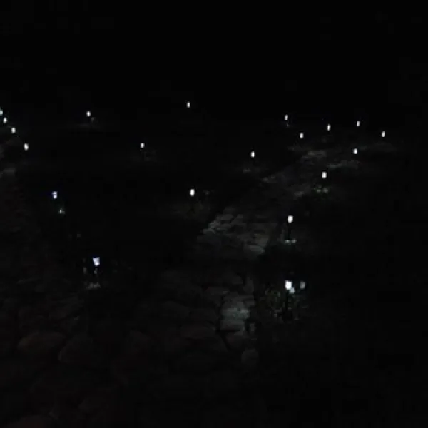 camping-la-tara-mucestidanulesti-1nay7