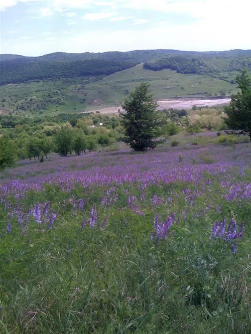 camping-la-tara-mucestidanulesti-spm5k
