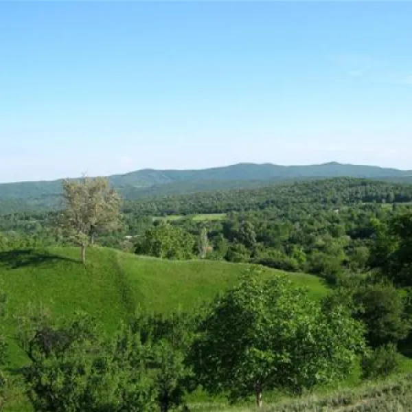 camping-la-tara-mucestidanulesti-szgaw