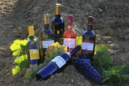 agriturismo-la-serra-del-pino-montescudaio-4mb7v