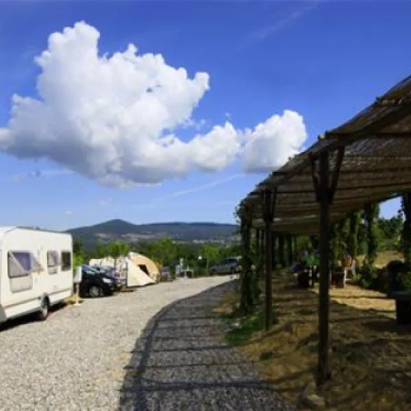 agriturismo-la-serra-del-pino-montescudaio-ofbex