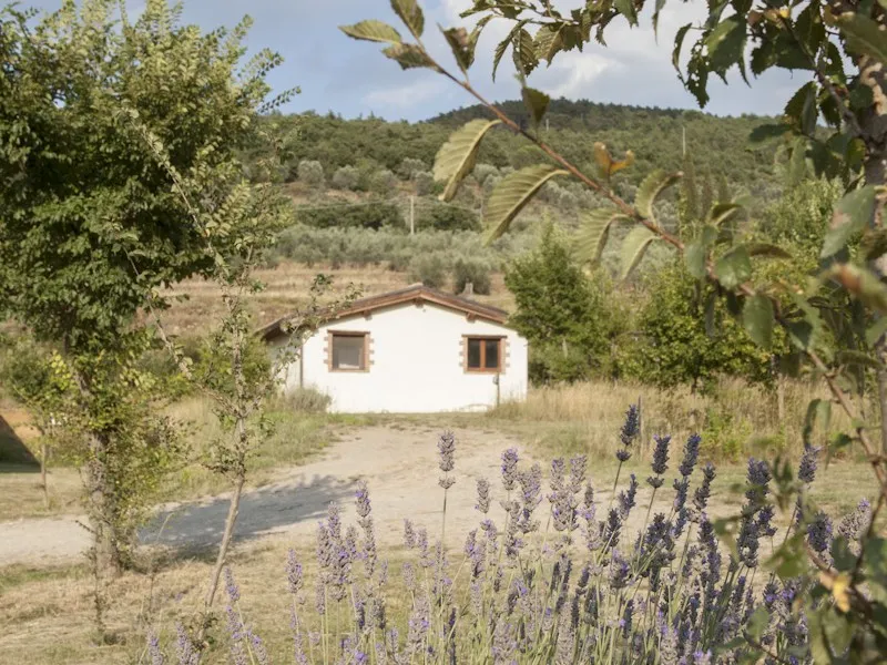 bio-agricampeggio-il-saregeto-castiglion-fiorentino-4mhde
