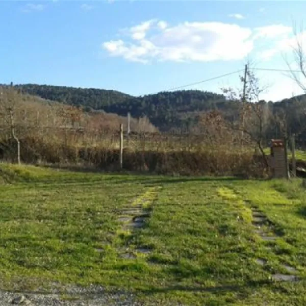 bio-agricampeggio-il-saregeto-castiglion-fiorentino-lwf5c