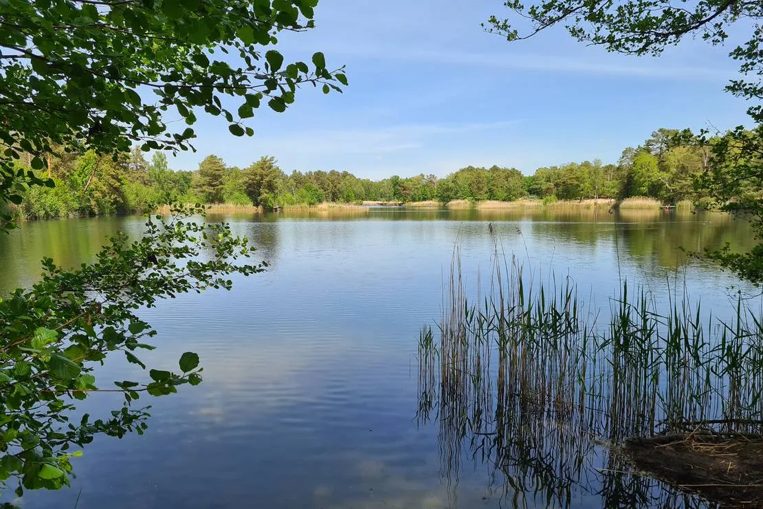 wald-und-naturcampingplatz-am-tonsee-sud-gross-koris-fq6i2