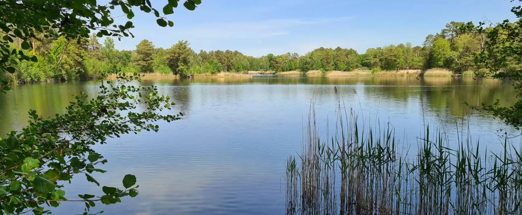 Wald- und Naturcampingplatz am Tonsee Süd