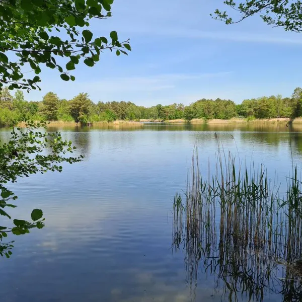 wald-und-naturcampingplatz-am-tonsee-sud-gross-koris-qdbbj