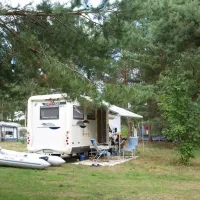 Wald- und Naturcampingplatz am Tonsee Süd