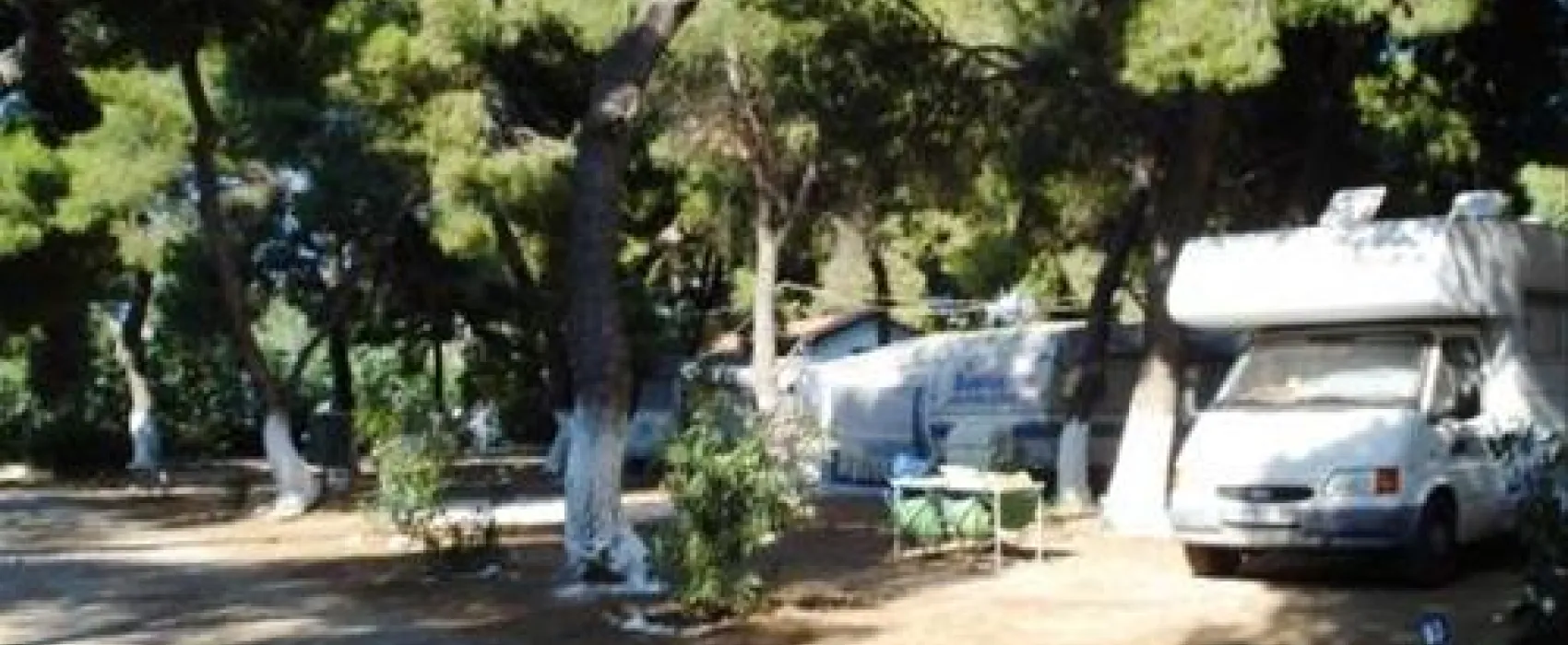 Camping Dionissotis
