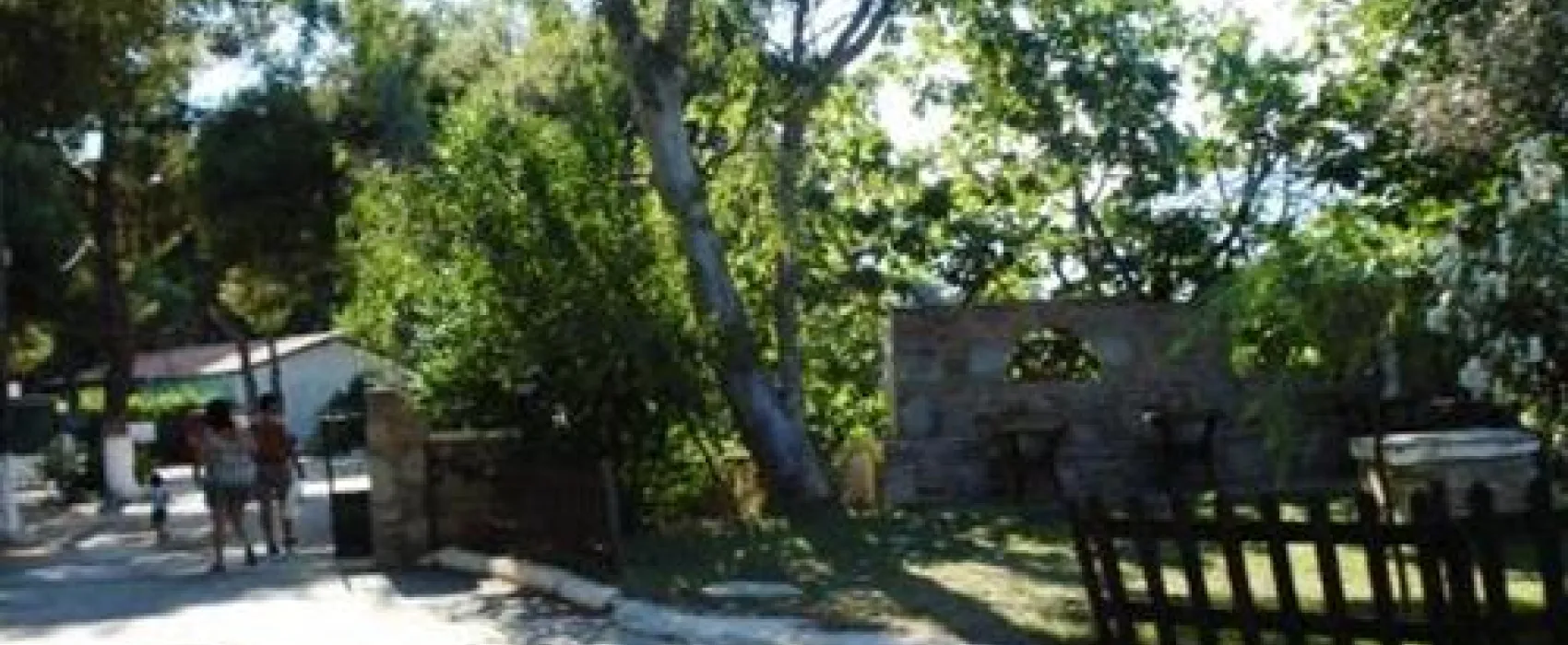 Camping Dionissotis