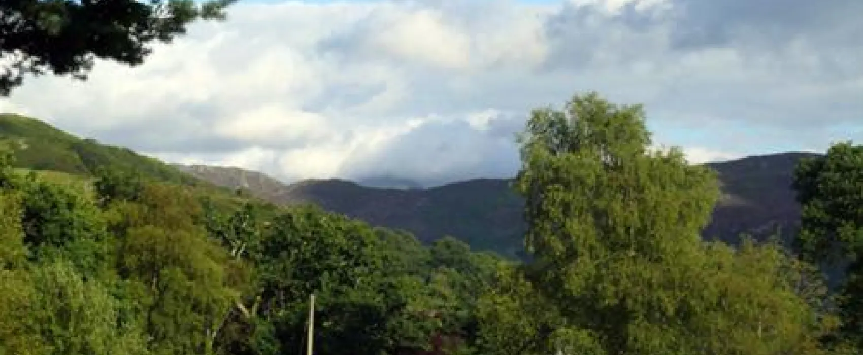 Beddgelert Forest C. & C. Site