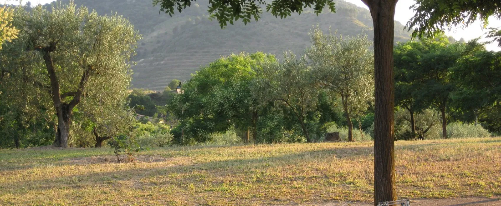 Camping Poboleda