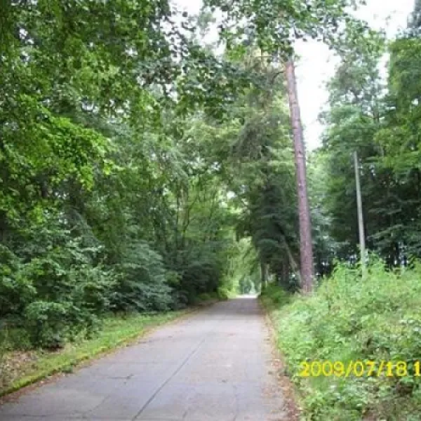 campingplatz-am-liepnitzsee-wandlitzlanketzdorf-sf8i5