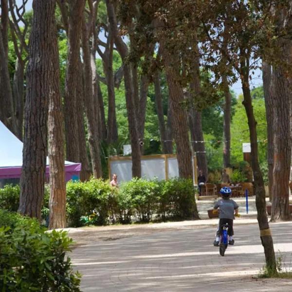 Camping Village - Park Albatros