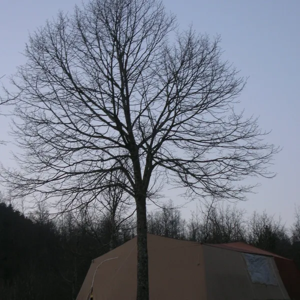 campeggio-la-verna-chiusi-della-verna-ffuuv