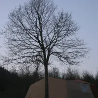 campeggio-la-verna-chiusi-della-verna-ffuuv