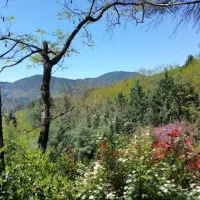 camping-les-sources-st-jean-du-gard-ytl9p