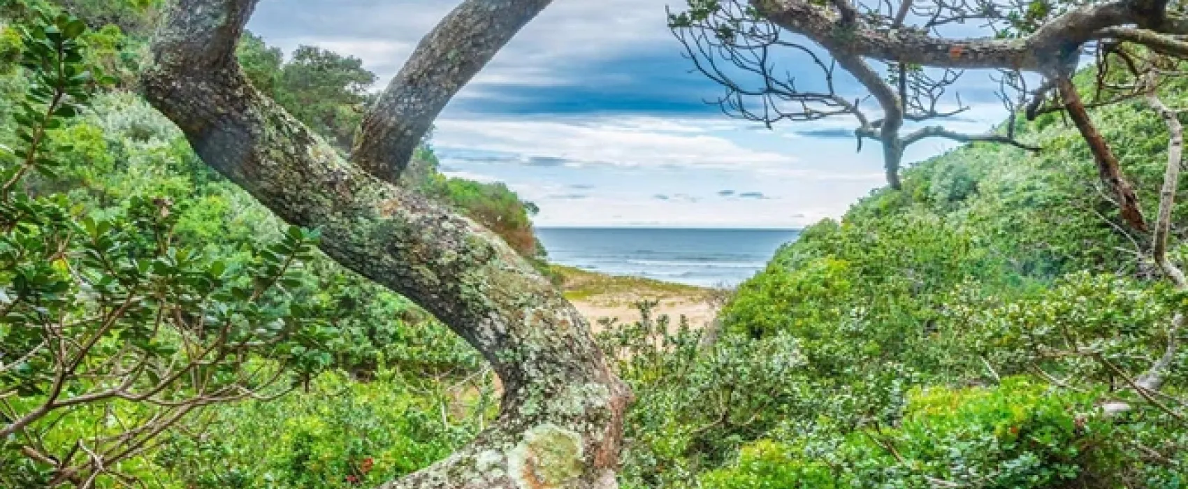 Milkwood Bend Farm Resort