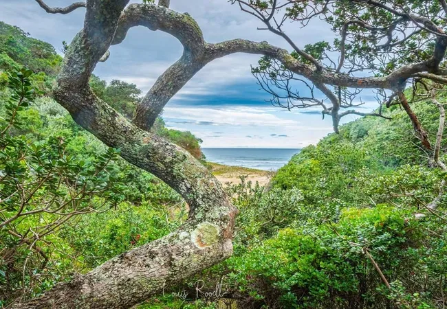 milkwood-bend-farm-resort-lusizini-bvocz
