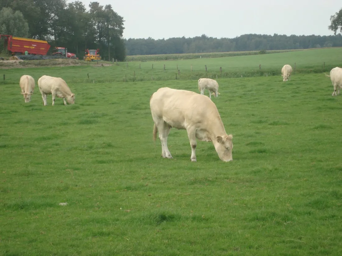 minicamping-erve-beernink-overdinkel-c6vzu