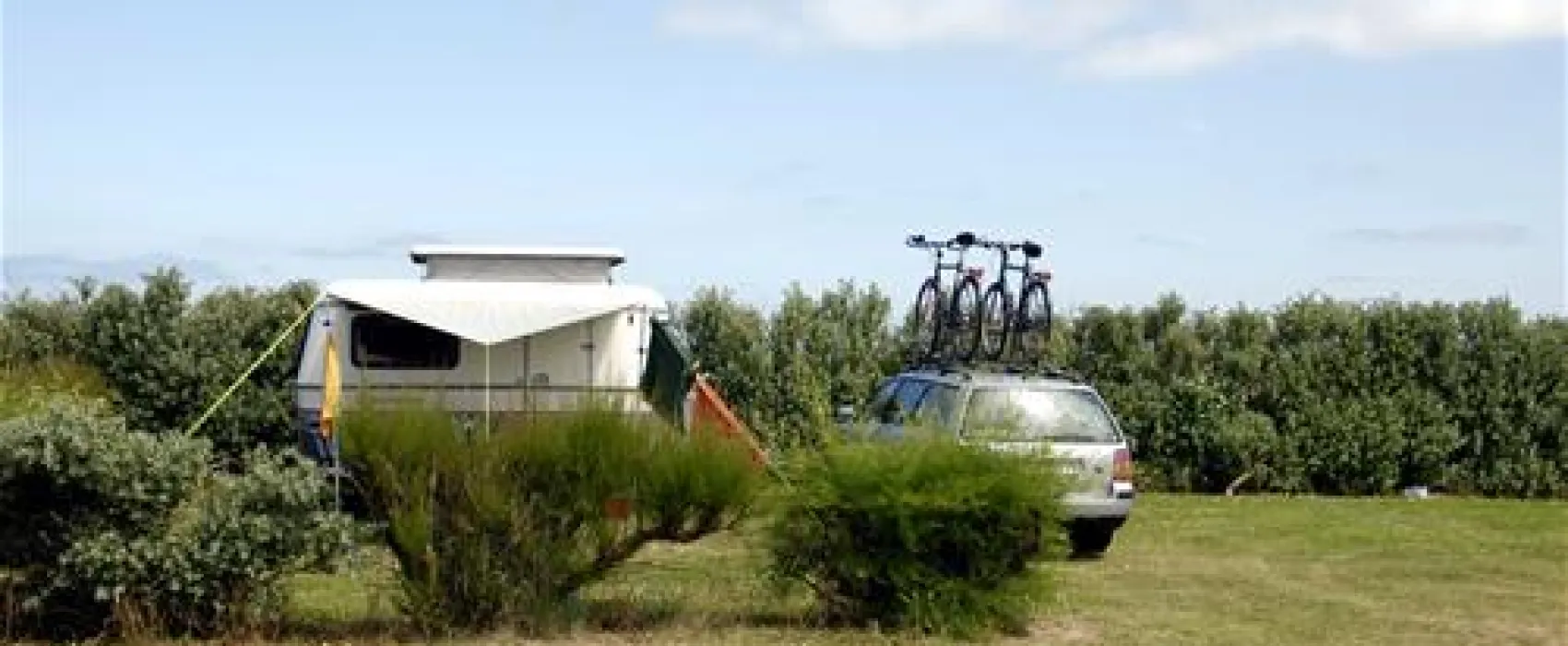 Camping Municipal Le Champ De Course  