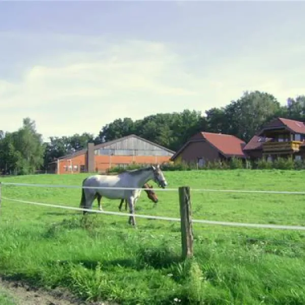 campingplatz-am-furlbach-schlo-holtestukenbrock-4elz5