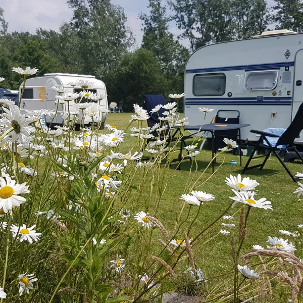 Camping Welgelegen