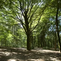 camping-bilderberg-oosterbeek-tdsbg