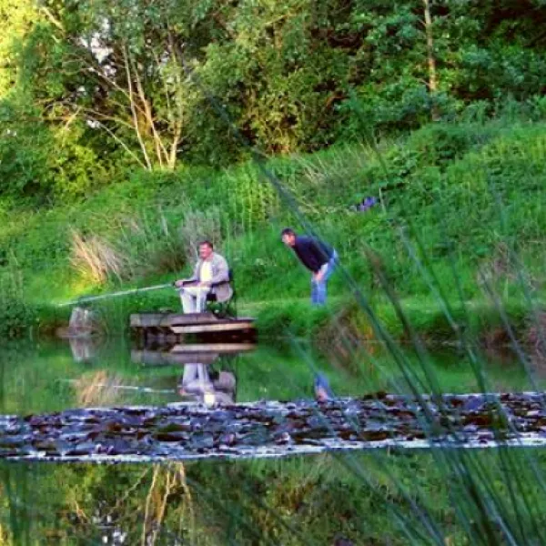 the-old-oaks-touring-park-glastonbury-aioaf