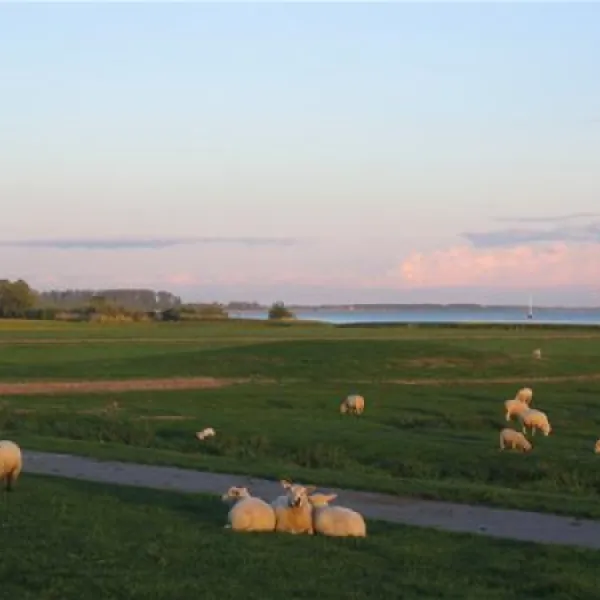 elbdeich-camping-kollmar-kollmar-bei-elmshorn-egfwx