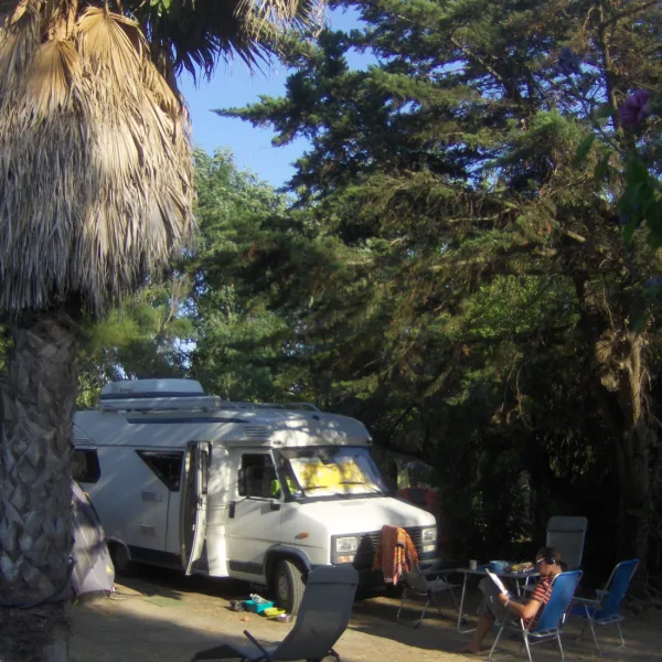 municipal-de-la-plage-ste-marie-la-mer-dlef9