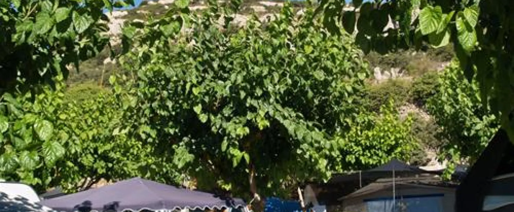 Camping Serra De Prades