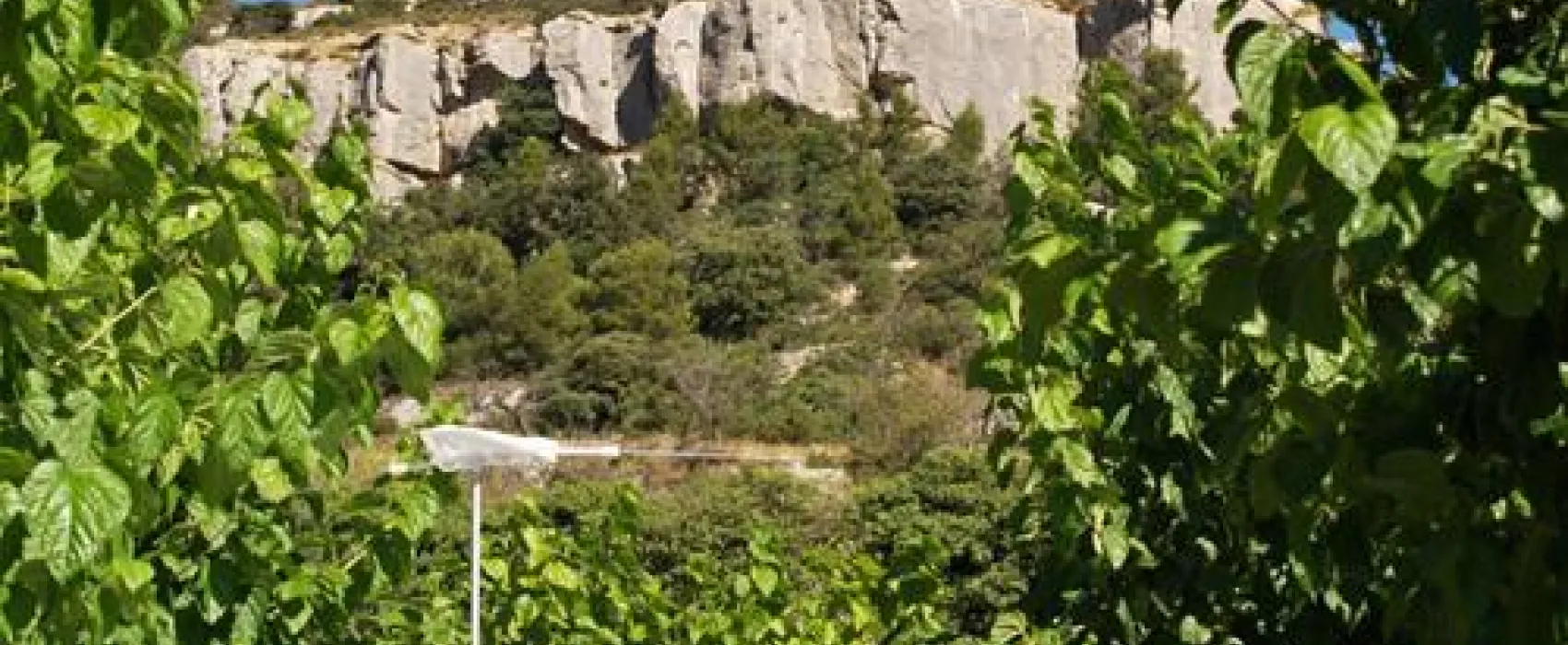 Camping Serra De Prades