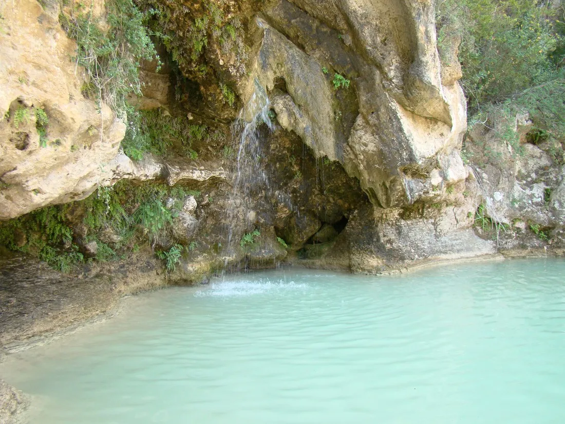 camping-serra-de-prades-vilanova-de-prades-f0aru