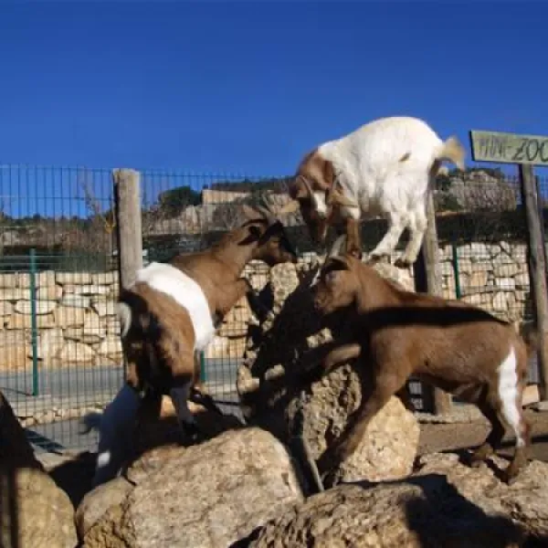 camping-serra-de-prades-vilanova-de-prades-s62q9