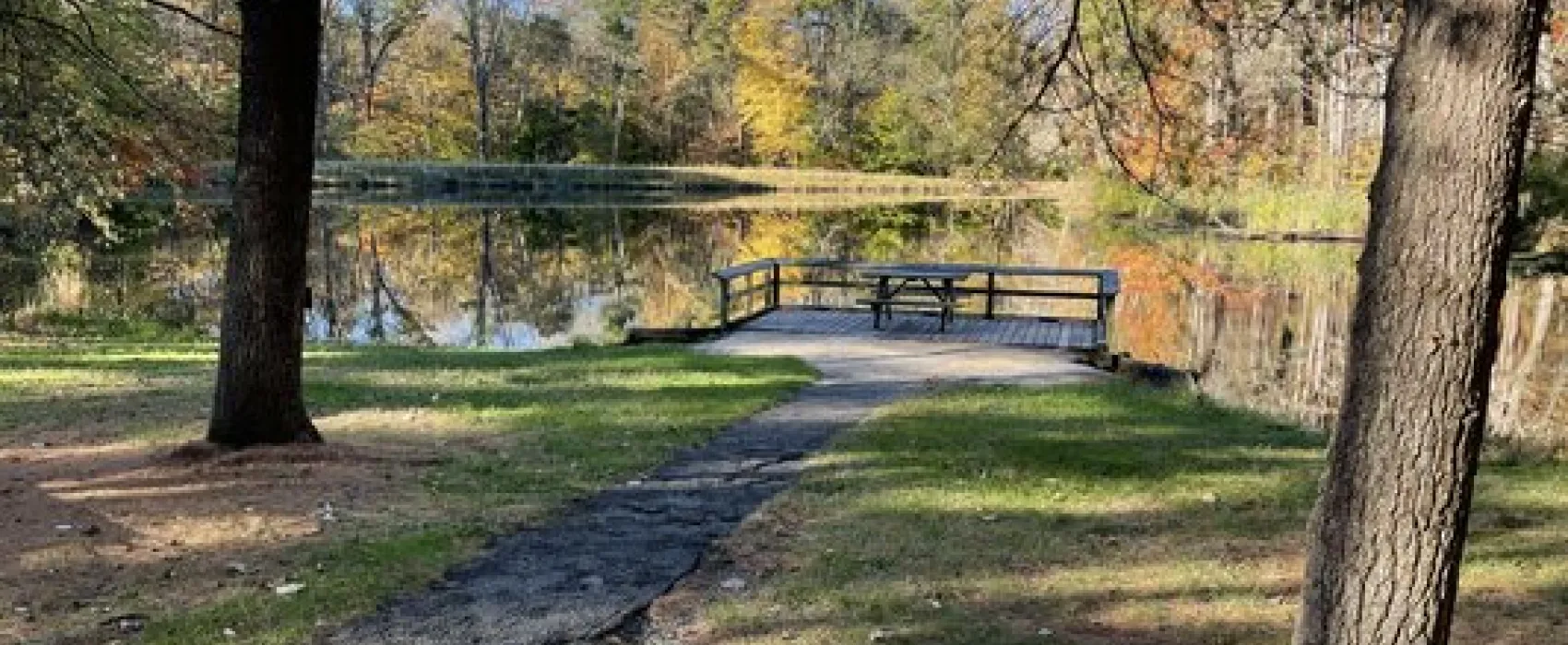 Martin State Forest Campground