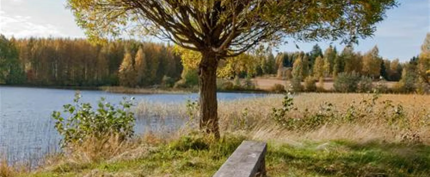 Iso Kirja Camping