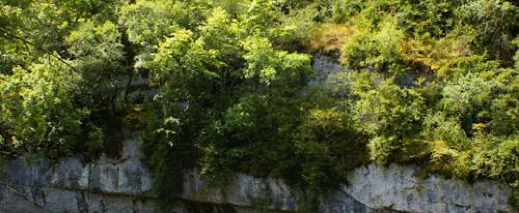 Camping Cantal