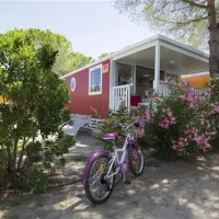 yelloh-village-les-petits-camarguais-le-grau-du-roi-ncl3u