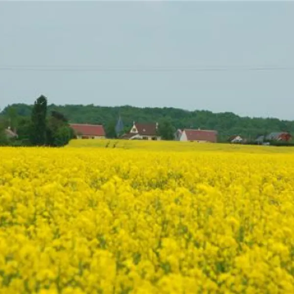 yelloh-village-parc-du-val-de-loire-mesland-uewy6