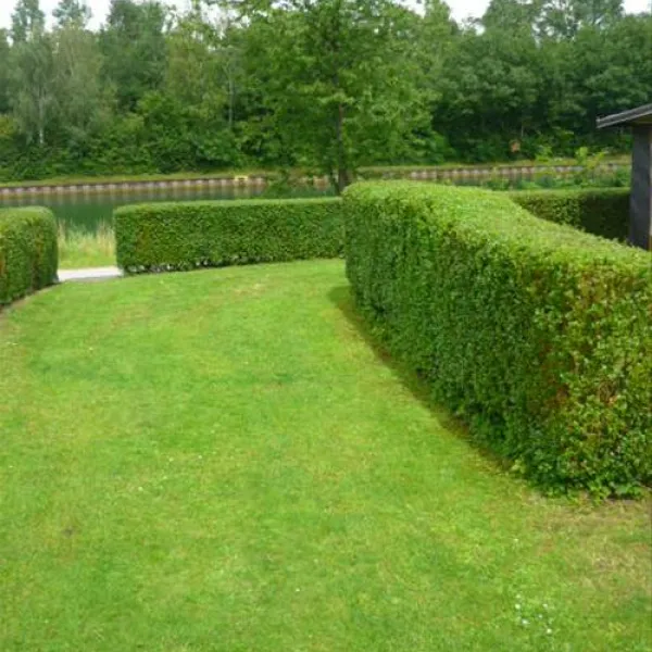campingplatz-lippetal-hnxe-jggaj