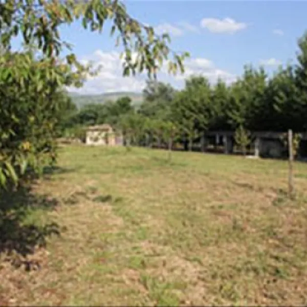 autocamp-kolo-buna-vtvx0