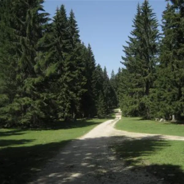 camping-les-cerneux-les-breuleux-tru2a