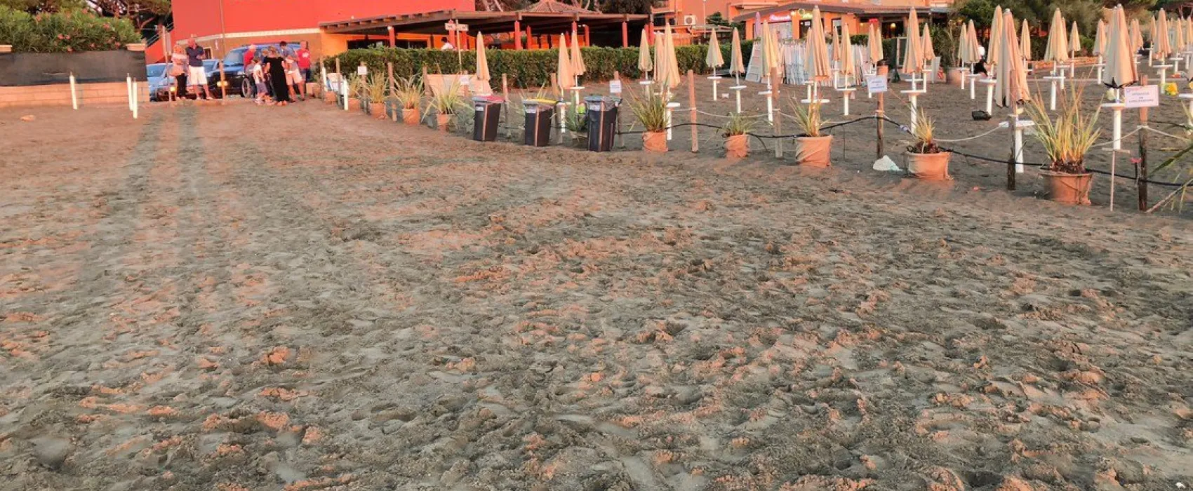 Campeggio Int. Argentario
