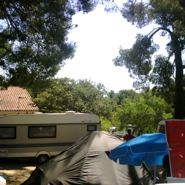 des-mimosas-la-seyne-sur-mer-88zbk