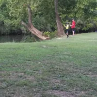 Cedar Creek Park