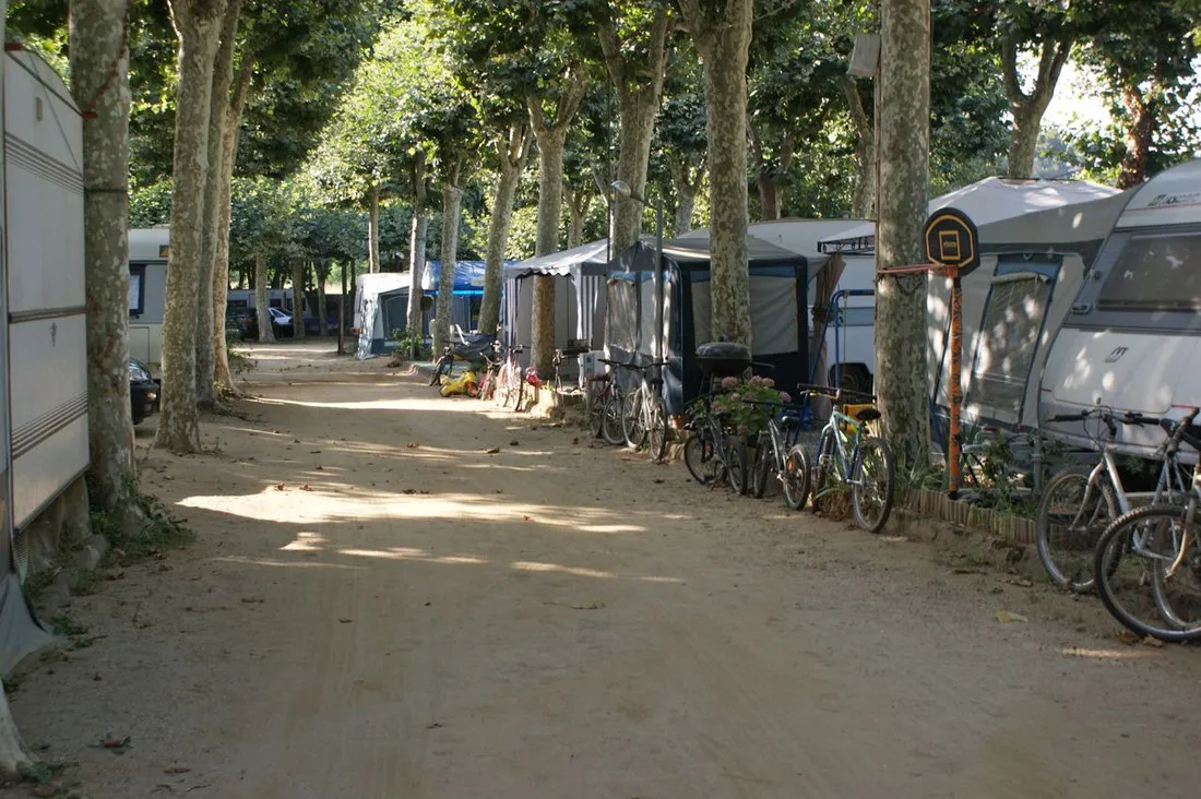 camping-la-verneda-sant-cebri-de-vallalta-fjril
