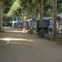 camping-la-verneda-sant-cebri-de-vallalta-fjril