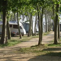 camping-la-verneda-sant-cebri-de-vallalta-psbat