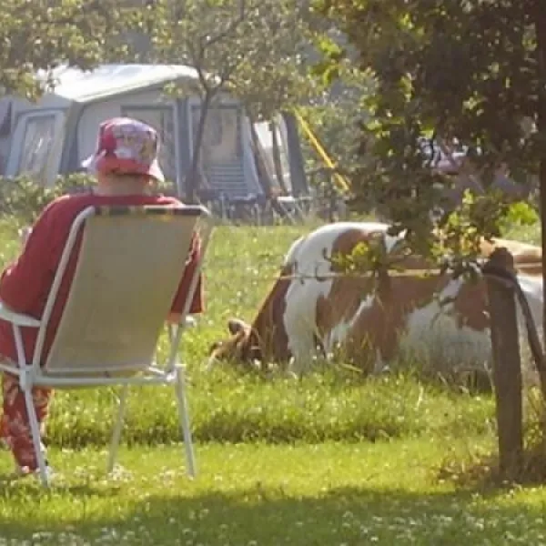 camping-de-ganzenhof-bladel-l54w7