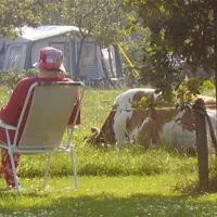 camping-de-ganzenhof-bladel-l54w7